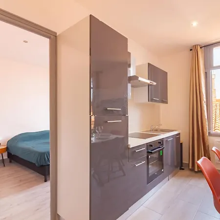 公寓 Moderne Et Elegant Michel Torrent 2 佩皮尼昂